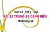 Bài 12 trang 83 Toán 12 tập 1 Cánh Diều